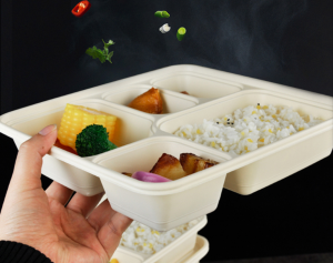 PLA降解餐盒_環(huán)保型_佳德智能裝備